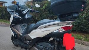 Kawasaki J 300 (2014) 