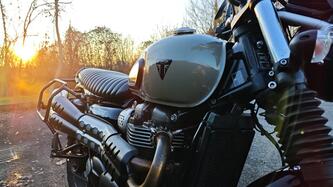 Triumph Street Scrambler 900 (2019 - 20) usata