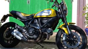 Ducati Scrambler 800 Icon (2015 - 16) 