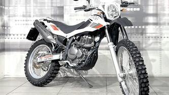 Betamotor Alp 4.0 (2006 - 08) usata