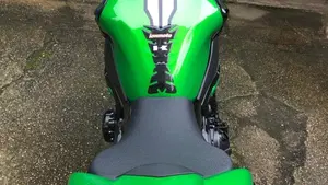 Kawasaki Z 900 (2021 - 24)  (2)