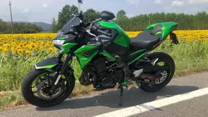 Kawasaki Z 900 (2021 - 24)  (5)