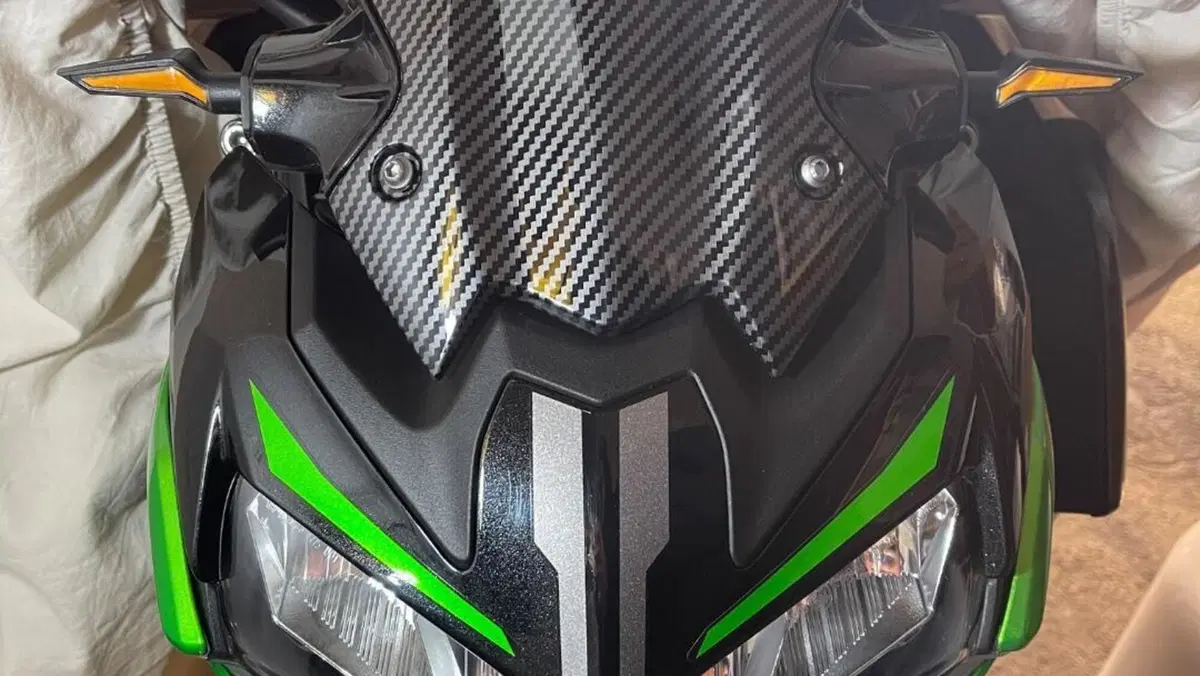 Kawasaki Z 900 (2021 - 24)  (6)
