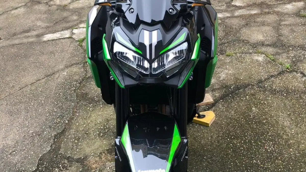 Kawasaki Z 900 (2021 - 24)  (9)
