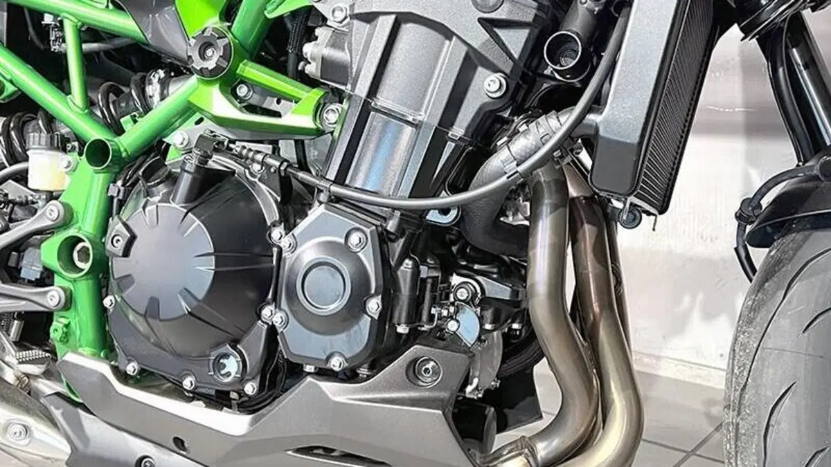 Kawasaki Z 900 A2 (2025 - 26)  (4)