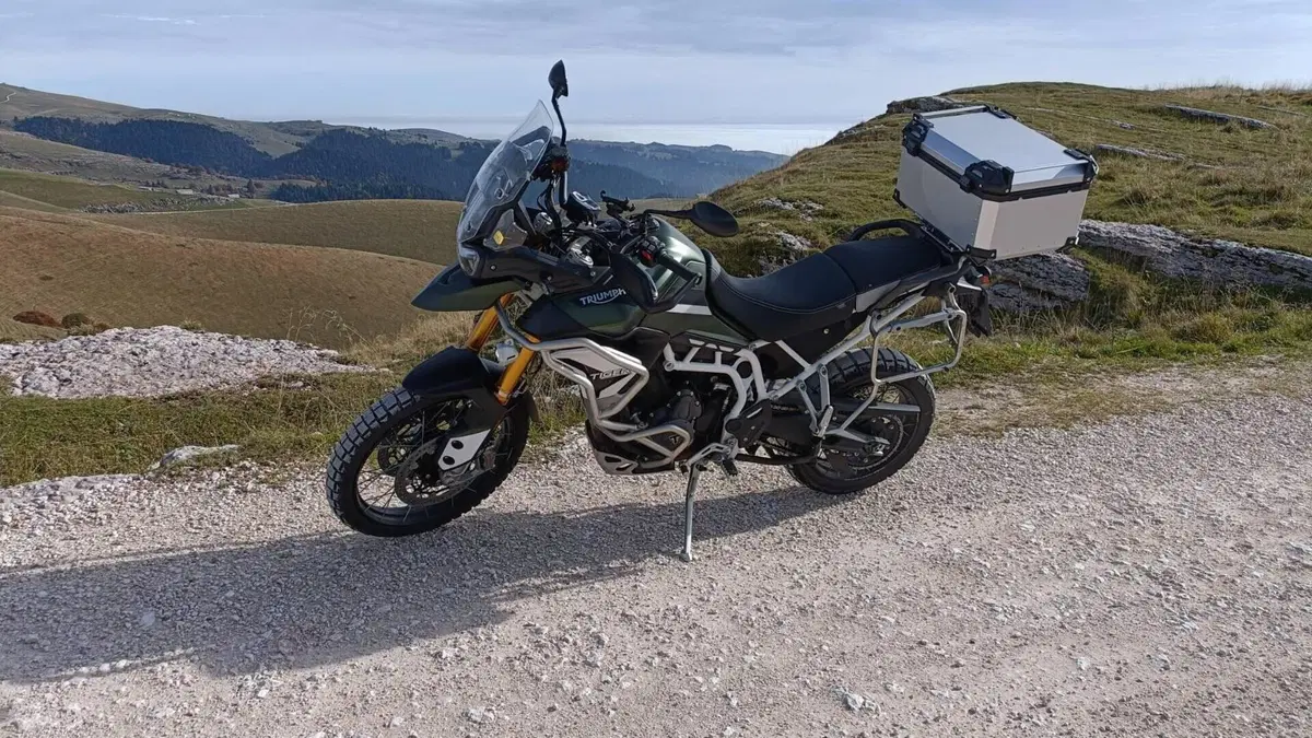 Triumph Tiger 900 Rally Pro (2020 - 23)  (6)