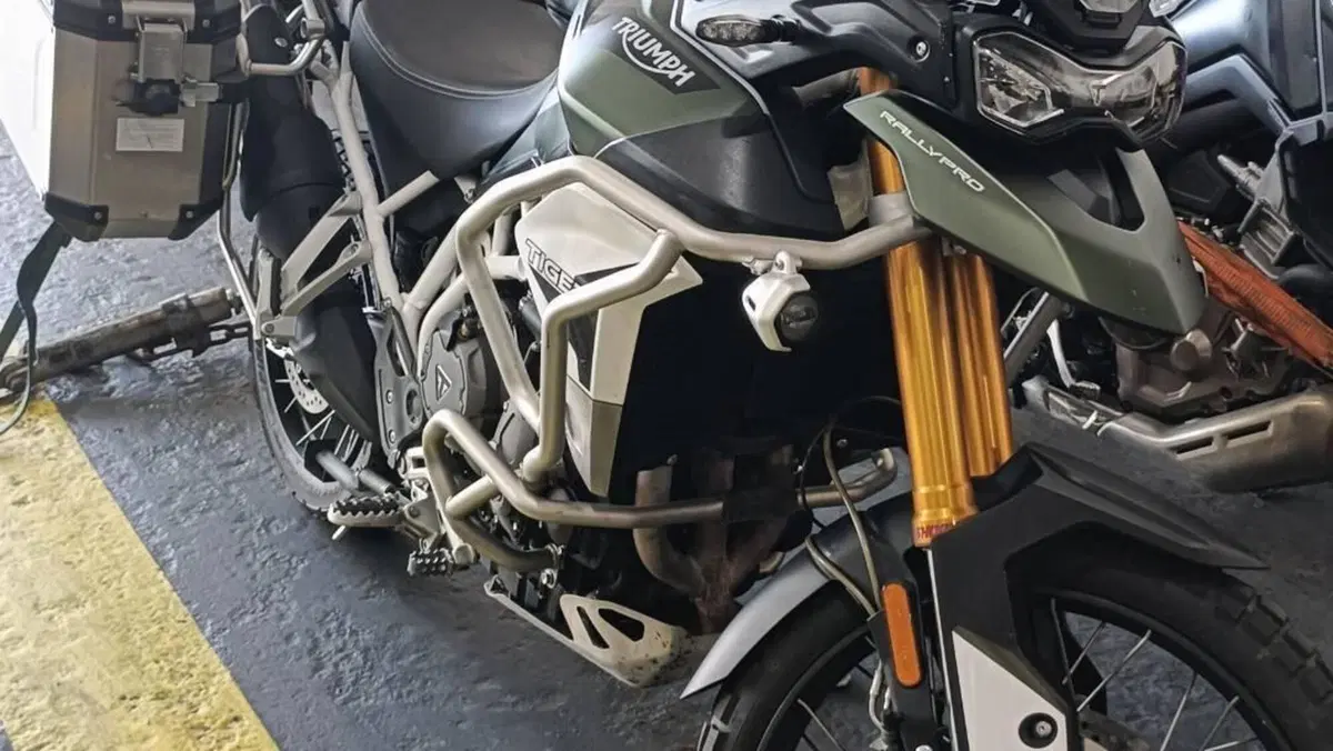 Triumph Tiger 900 Rally Pro (2020 - 23)  (11)