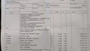Triumph Tiger 900 Rally Pro (2020 - 23)  (14)