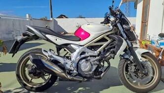 Suzuki Gladius 650 SFV (2009 - 15) usata