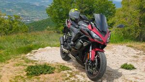 Kawasaki Ninja 1000 SX (2021 - 24) 