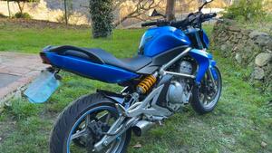 Kawasaki ER-6N (2006 - 09) 