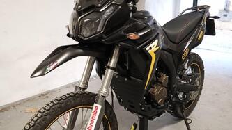 Voge Valico 300 Rally (2022 - 25) usata