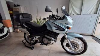 Suzuki XF 650 Freewind (1997 - 03) usata