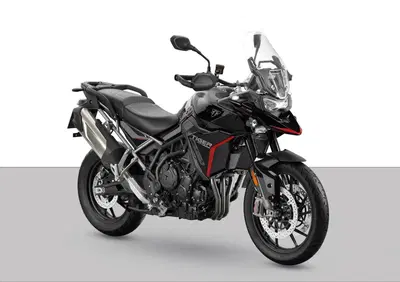Triumph Tiger 900 GT Pro (2024 - 26) - Annuncio 9907336