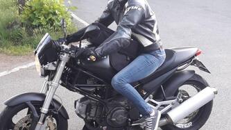 Ducati Monster 600 Dark (1998 - 01) usata