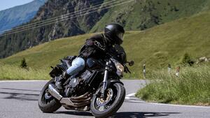 Honda Hornet 600 (2007 - 10) 