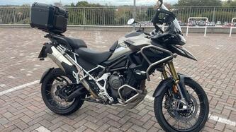 Triumph Tiger 1200 Rally Pro (2024 - 25) usata