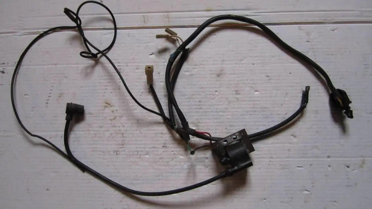 Fantic Motor   (3)