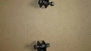 Fantic Motor   (6)