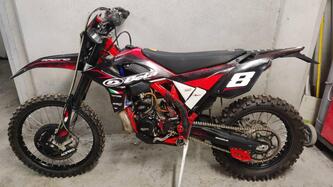 Betamotor RR 250 2T Enduro (2013) usata