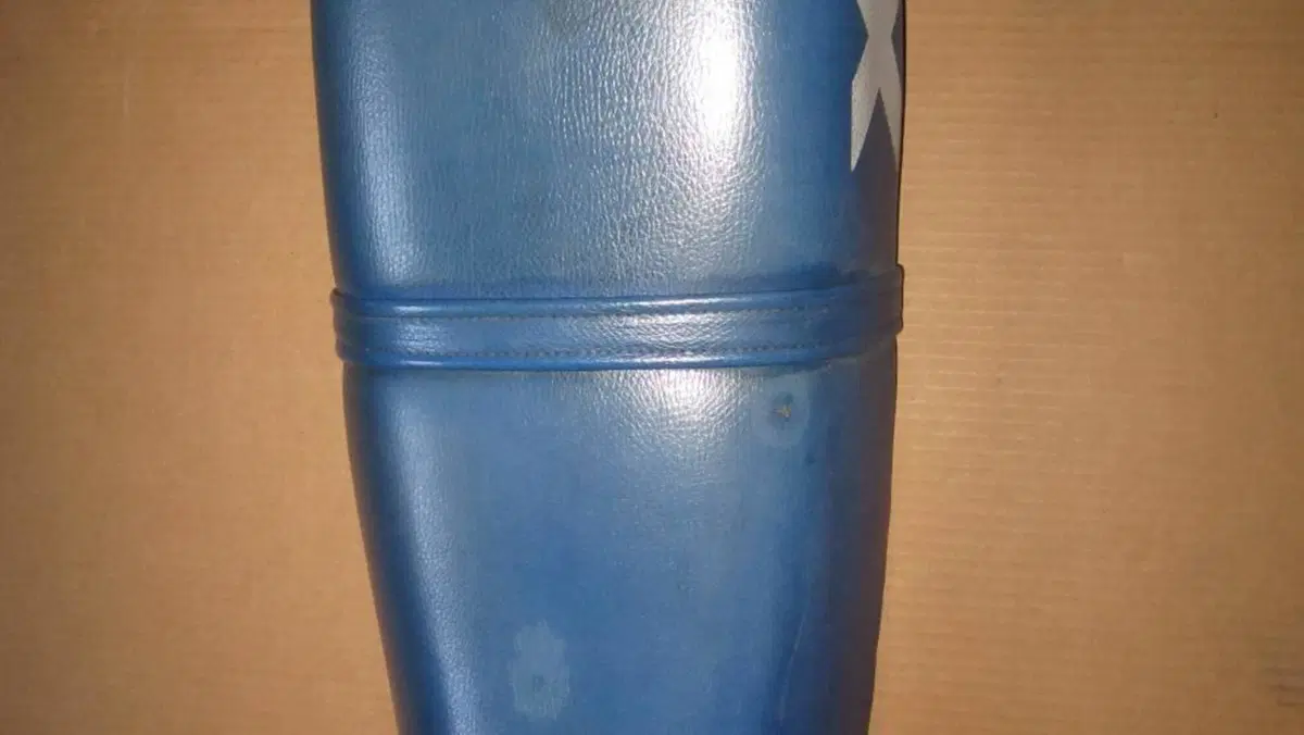 Honda   (6)