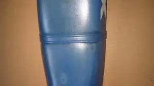 Honda   (6)