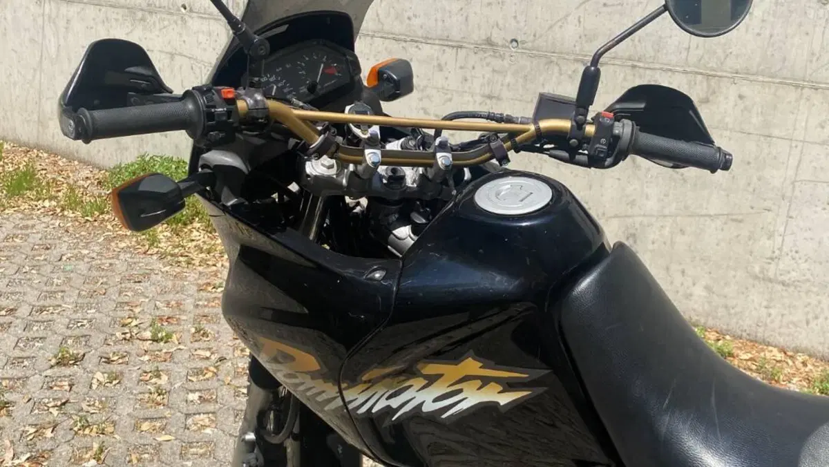 Honda NX 650 Dominator (1996 - 02)  (3)