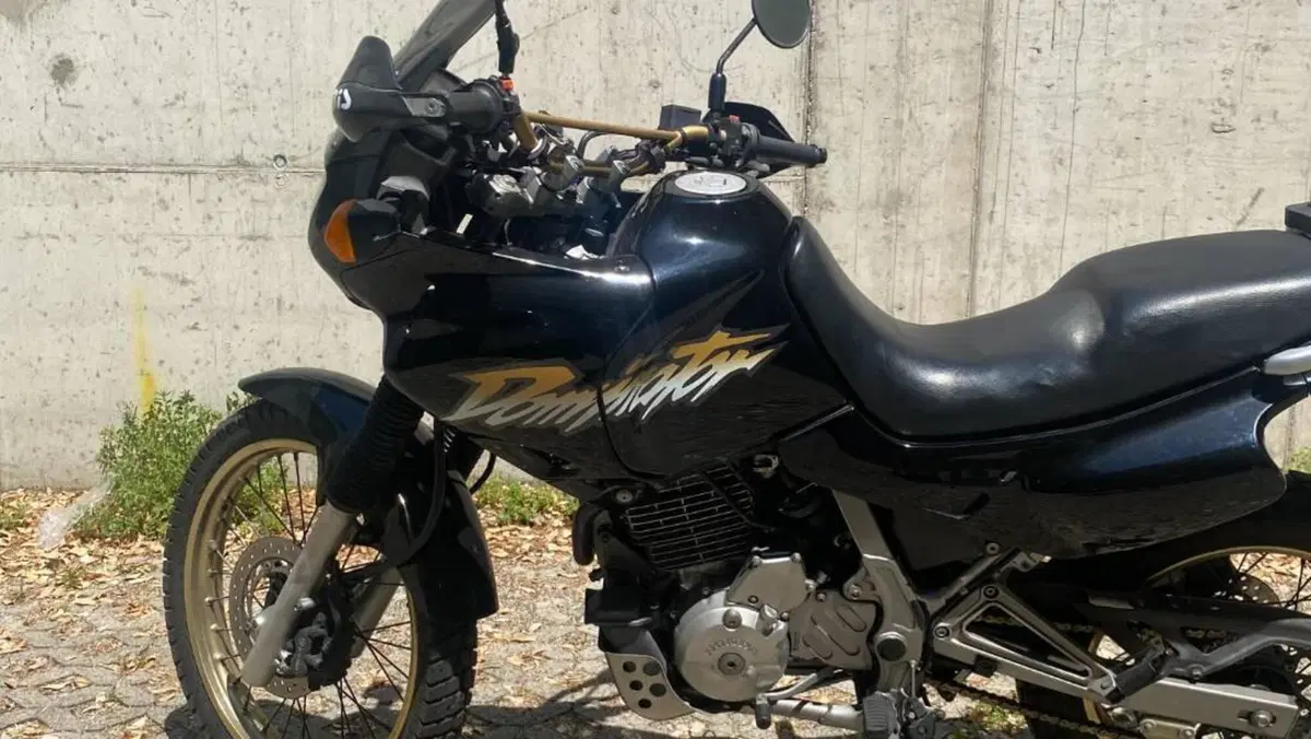 Honda NX 650 Dominator (1996 - 02)  (7)