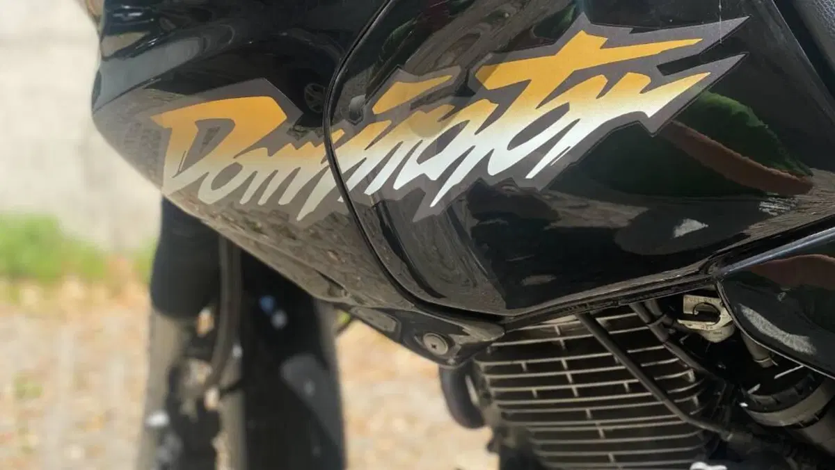 Honda NX 650 Dominator (1996 - 02)  (8)
