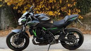 Kawasaki Z 650 (2021 - 24) 
