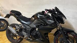 Kawasaki Z 300 ABS (2015 - 16) 