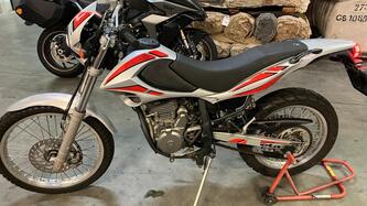 Betamotor Alp 4.0 (2006 - 08) usata