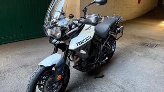 Triumph Tiger 800 XRx (2015 - 17) usata