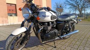 Triumph Bonneville SE (2009 - 13) 