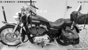 Harley-Davidson 1200 Low (2008 - 09) - XL 1200L 