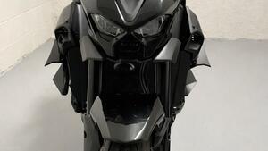 Kawasaki Z 900 (2025 - 26) 