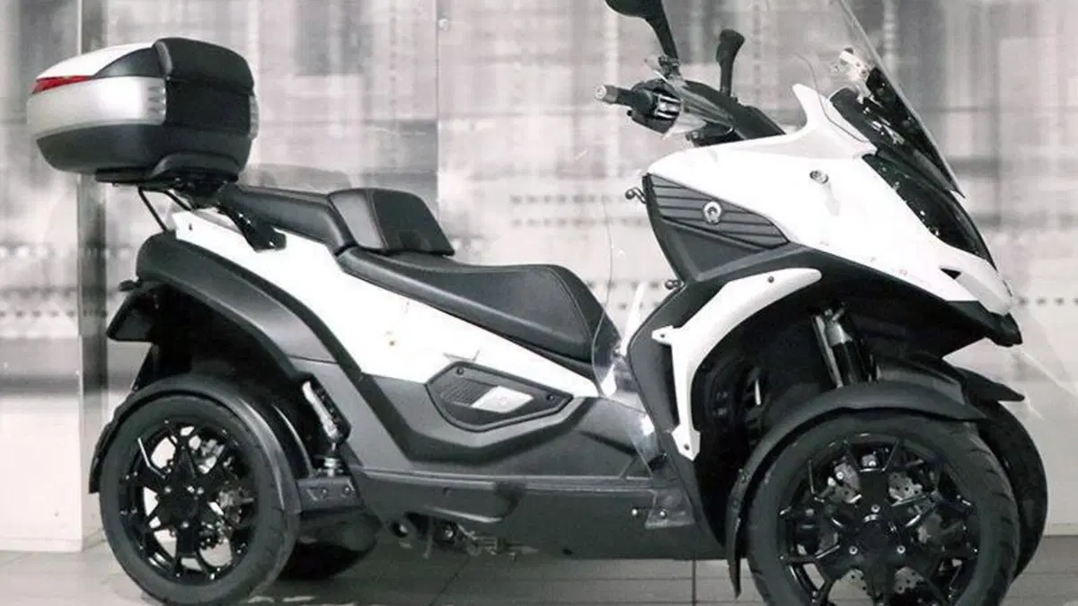 Quadro Quadro 4 (2015 - 17) 