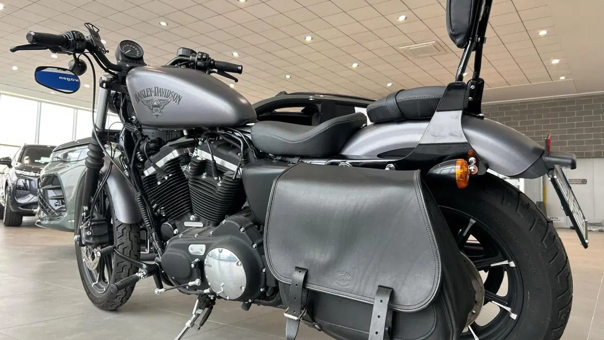 Harley-Davidson 883 Iron (2012 - 14) - XL 883N  (2)