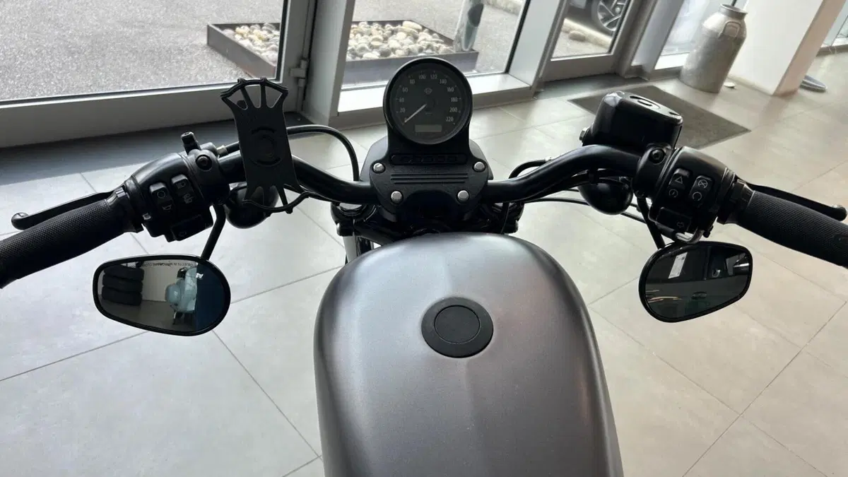 Harley-Davidson 883 Iron (2012 - 14) - XL 883N  (6)