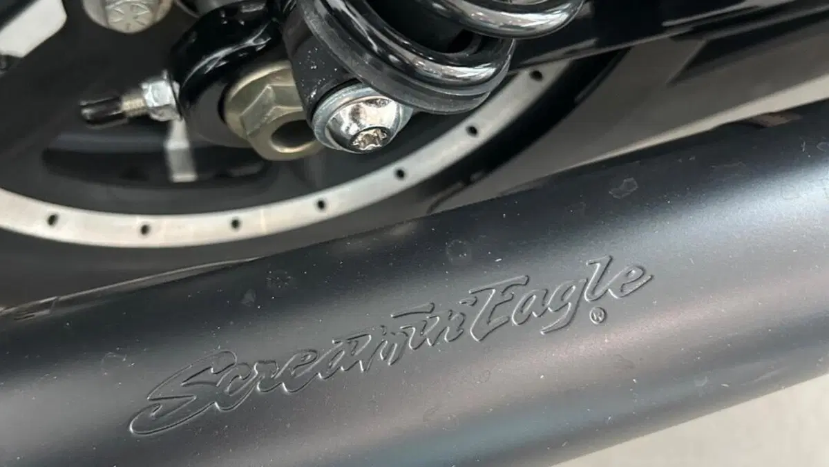 Harley-Davidson 883 Iron (2012 - 14) - XL 883N  (7)