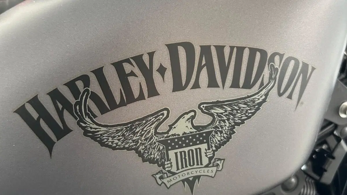 Harley-Davidson 883 Iron (2012 - 14) - XL 883N  (8)