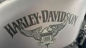 Harley-Davidson 883 Iron (2012 - 14) - XL 883N  (8)