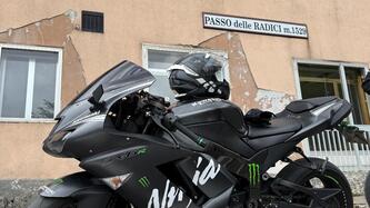 Kawasaki Ninja 600 ZX-6R (2007 - 08) usata