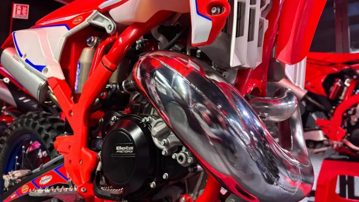 Betamotor RX 300 2T (2024 - 25)  (4)