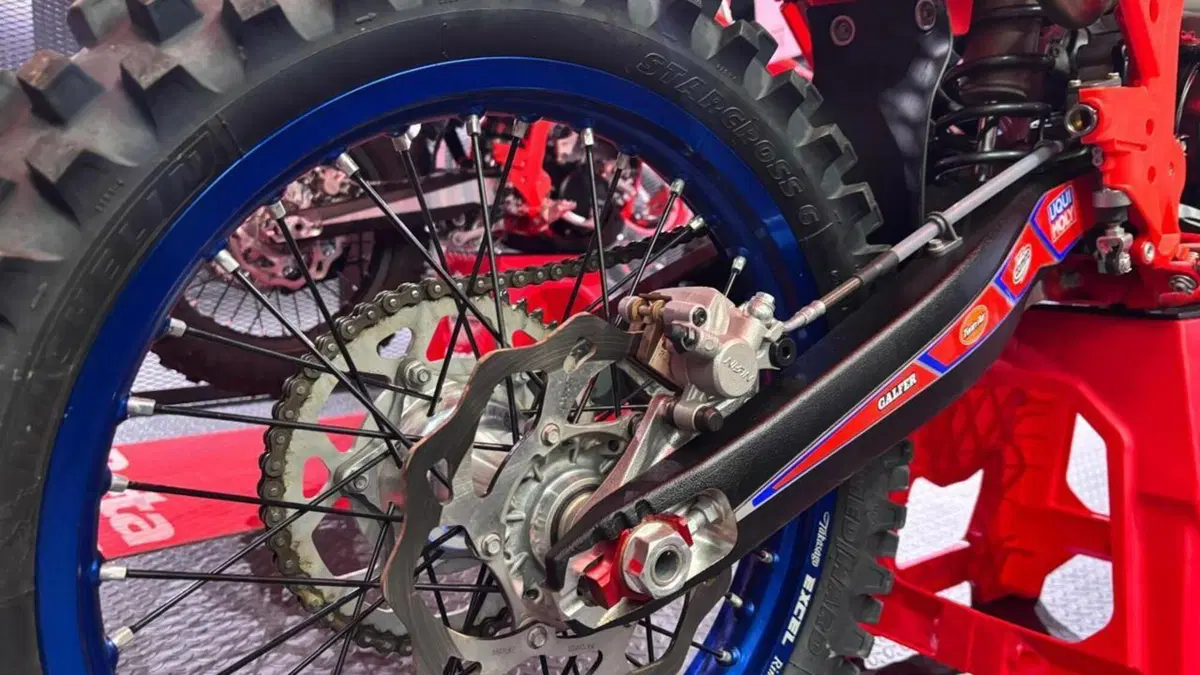 Betamotor RX 300 2T (2024 - 25)  (5)