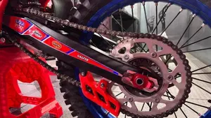 Betamotor RX 300 2T (2024 - 25)  (6)