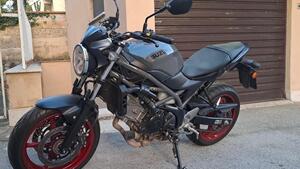 Suzuki SV650 (2021 - 24) 