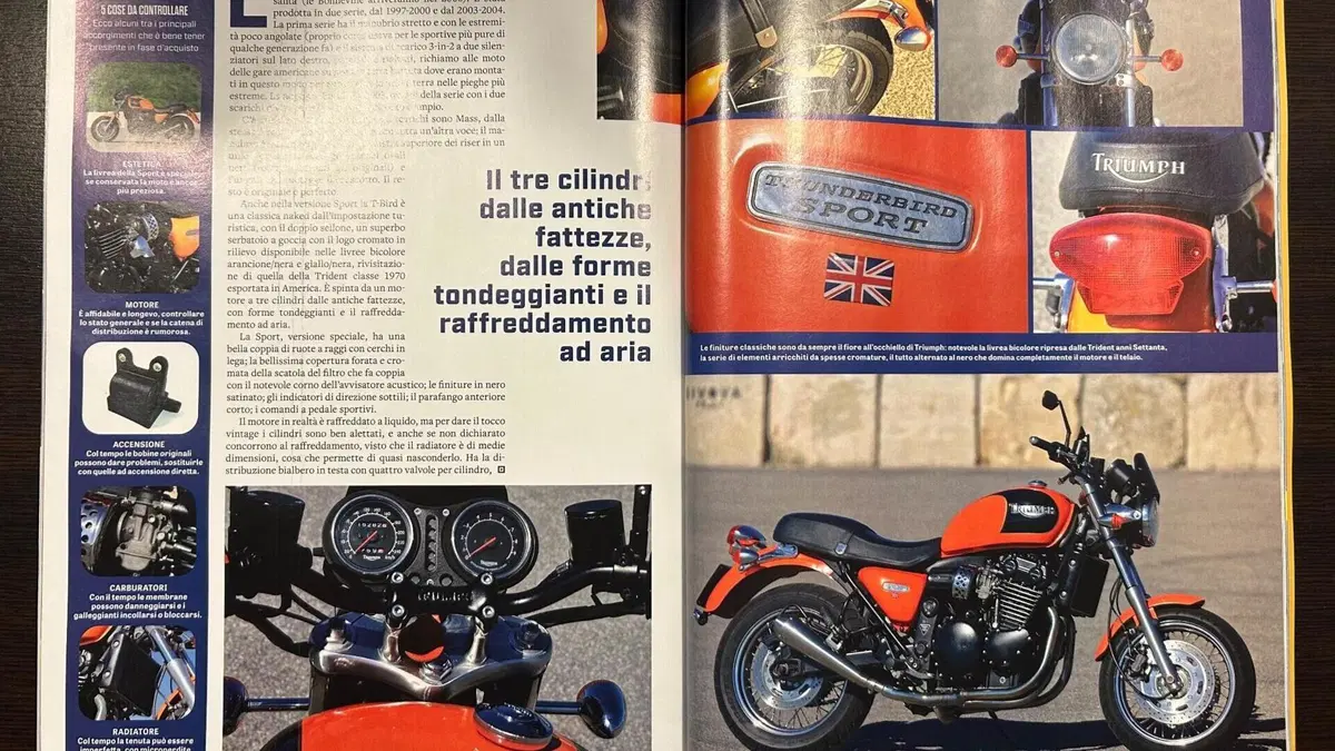 Triumph   (4)