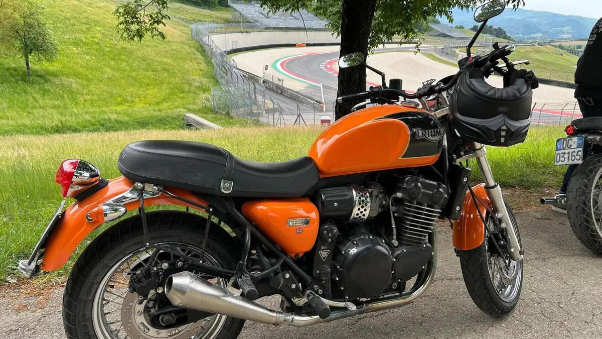 Triumph   (7)