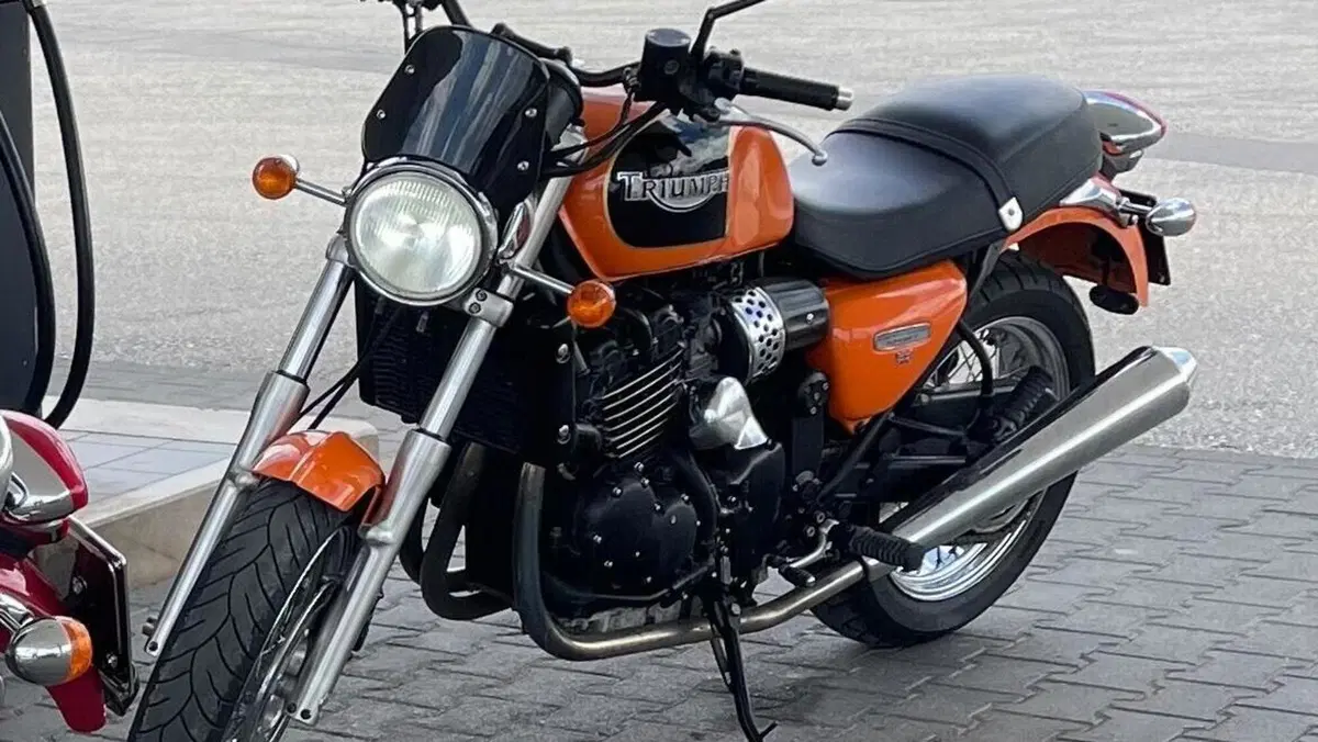 Triumph   (8)
